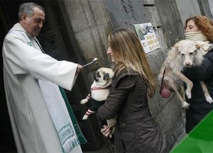 benedizione animali in chiesa 5