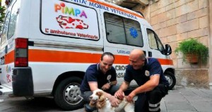 ambulanza animali 1