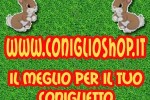 CONIGLIO SHOP banner300x250