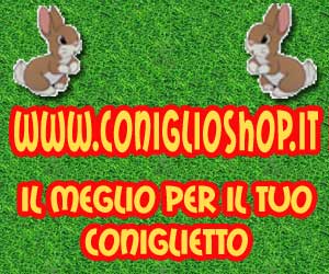 CONIGLIO SHOP banner300x250