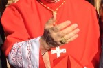 Cardinale Giuseppe Betori - foto Giornalista Franco Mariani