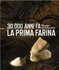 mostra 30.000 anni fa la prima farina