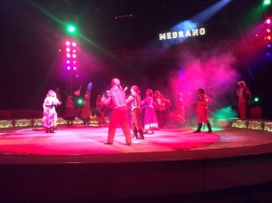 Circo Medrano 2015 - Foto Giornalista Franco Mariani (10)