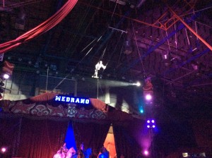 Circo Medrano 2015 - Foto Giornalista Franco Mariani (15)