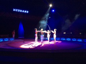 Circo Medrano 2015 - Foto Giornalista Franco Mariani (21)