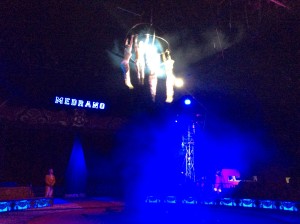 Circo Medrano 2015 - Foto Giornalista Franco Mariani (23)