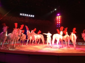Circo Medrano 2015 - Foto Giornalista Franco Mariani (35)