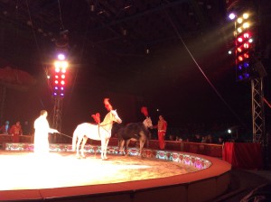 Circo Medrano 2015 - Foto Giornalista Franco Mariani (38)