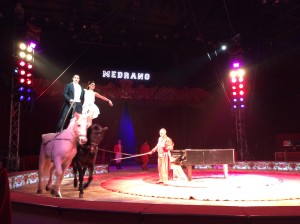 Circo Medrano 2015 - Foto Giornalista Franco Mariani (54)