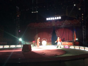 Circo Medrano 2015 - Foto Giornalista Franco Mariani (6)