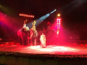 Circo Medrano 2015 - Foto Giornalista Franco Mariani (66)