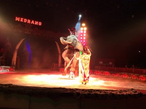 Circo Medrano 2015 - Foto Giornalista Franco Mariani (70)