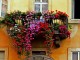 Al Quartiere 5 concorso “Balconi in fiore”: domande entro il 31 marzo