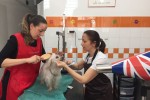 Assessore Sara Funaro toilette per cani (7)