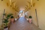 Castello familgia de Pucci - Brunelleschi (23)