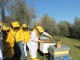 Nei giardini di Bagno a Ripoli arrivano gli alveari grazie alle lezioni sulle api e biodiversità
