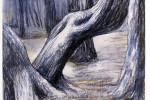 Henry Moore Il disegno dello scultore (10)