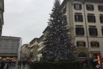 Albero Natale Piazza duomo 2021 - Foto Giornalista Franco Mariani (1)