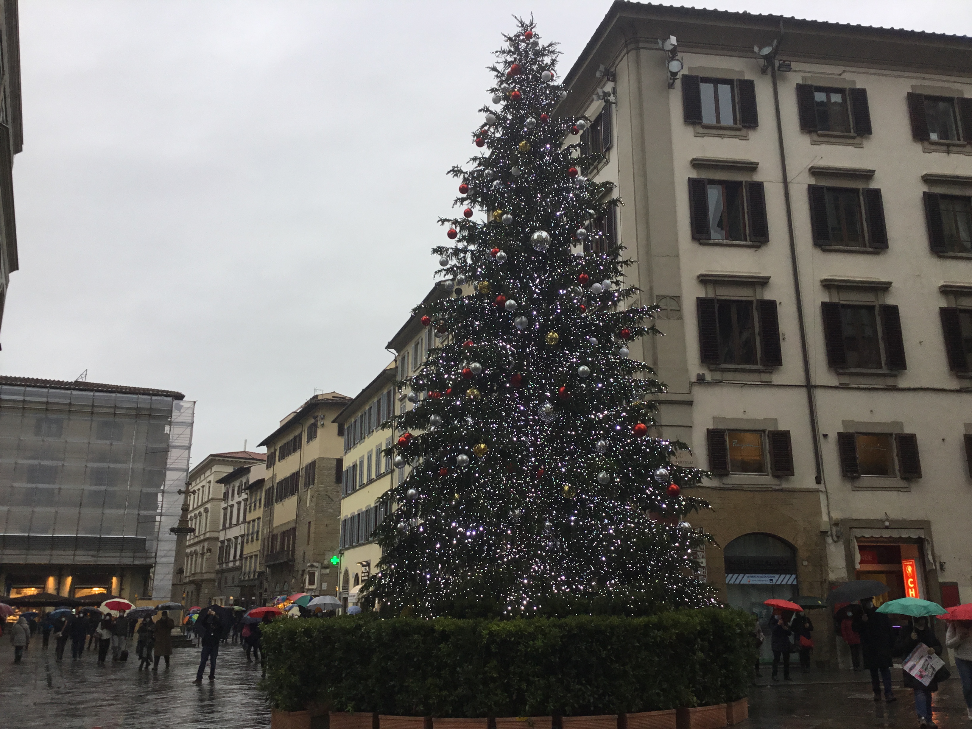Albero Natale Piazza duomo 2021 – Foto Giornalista Franco Mariani (2)